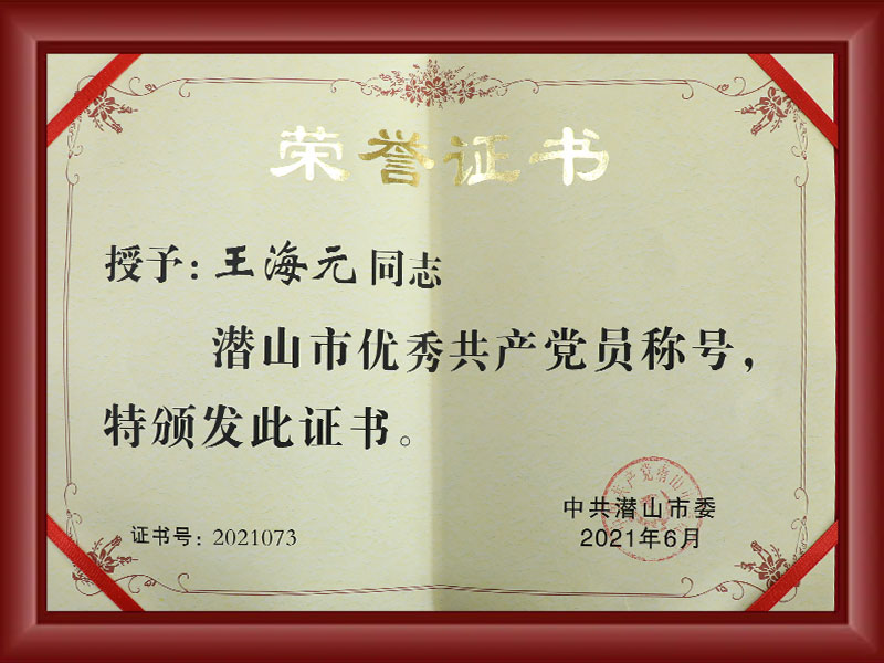 潜山市优秀共产党员